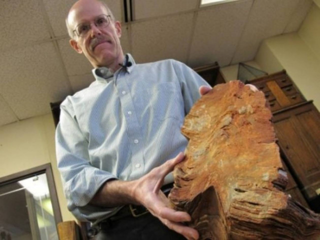 Έρευνα: Στη γη βρίσκεται η απόδειξη της εξωγήινης ζωής