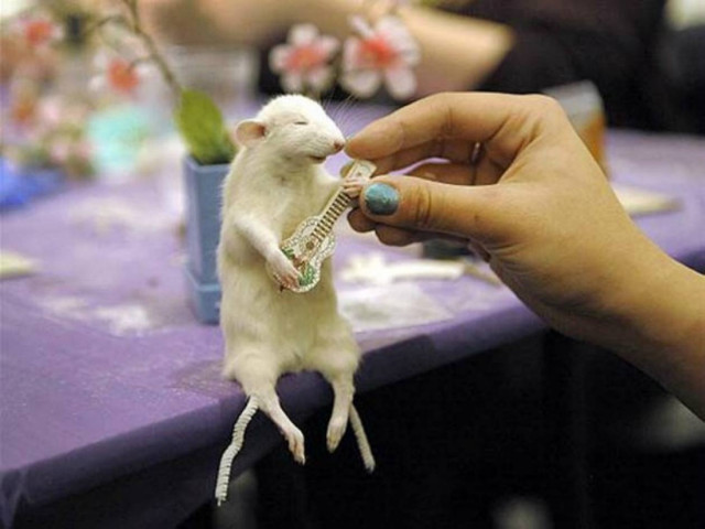 Τα 10 πιο παράξενα χόμπι