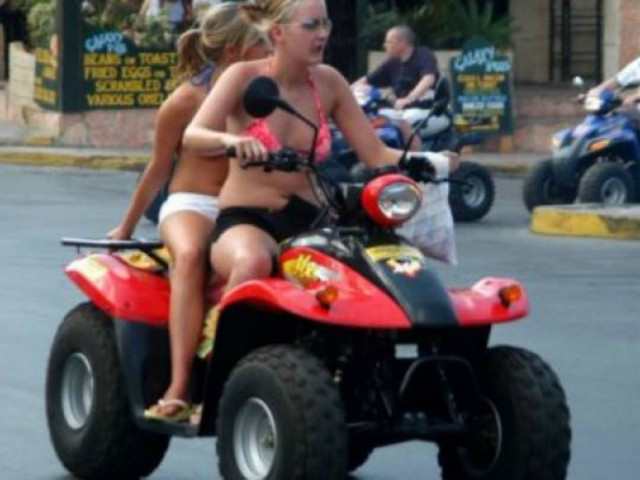 Ελεύθερες... οι «γουρούνες» στη Χερσόνησο!