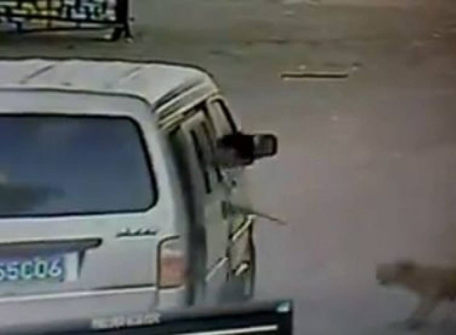 Βίντεο: Απαγωγή σκύλου on camera