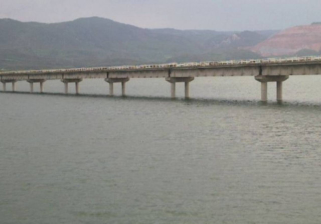 Τραγικό τέλος για φοιτήτρια που πήγε βόλτα το σκύλο της