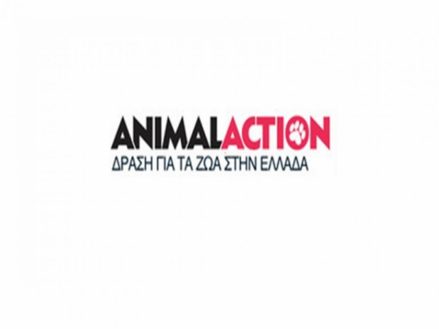 Γίνε Φίλος/Φίλη της Animal Action και Στείρωσε Δωρεάν