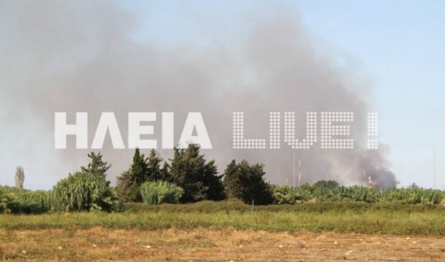 Πύργος: Φωτιά σε δασική έκταση στα Λαστέικα