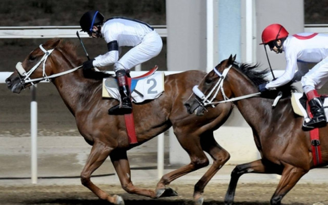 ΤΑΙΠΕΔ: «Στο σφυρί» η εκμετάλλευση των ιπποδρομιών