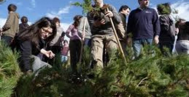 Αναβάλλεται η αναδάσωση στα Τουρκοβούνια