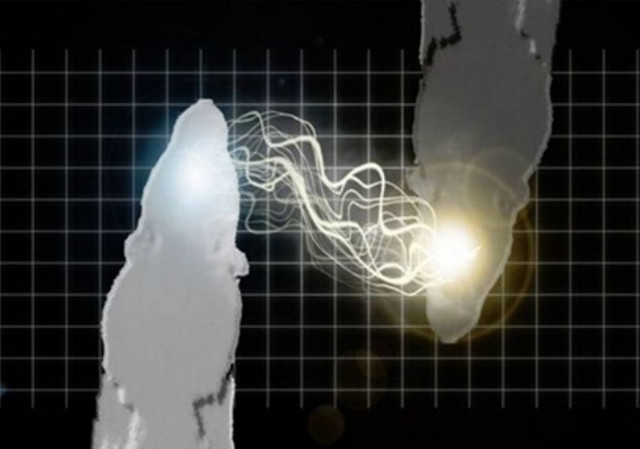 Αρουραίος στη Βραζιλία επικοινωνεί τηλεπαθητικά με αρουραίο στις ΗΠΑ