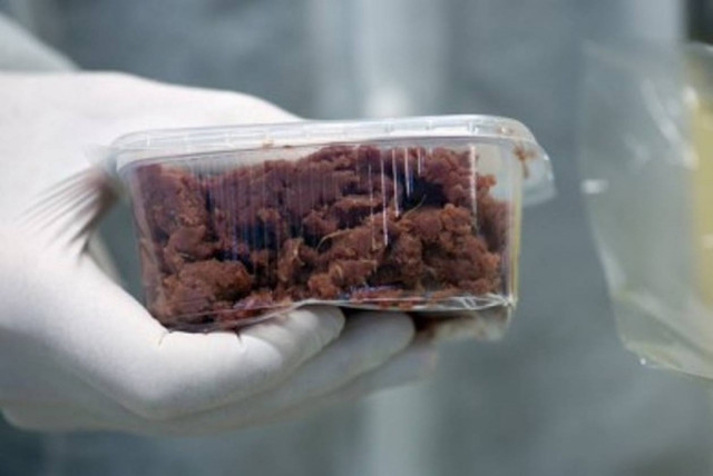 Κρέας αλόγου σε χάμπουργκερ