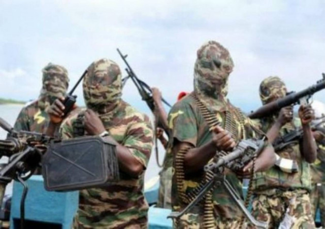 «Χτύπησαν» την οργάνωση Μπόκο Χαράμ