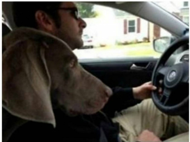 Οδήγηση γυναίκας VS οδήγηση άντρα