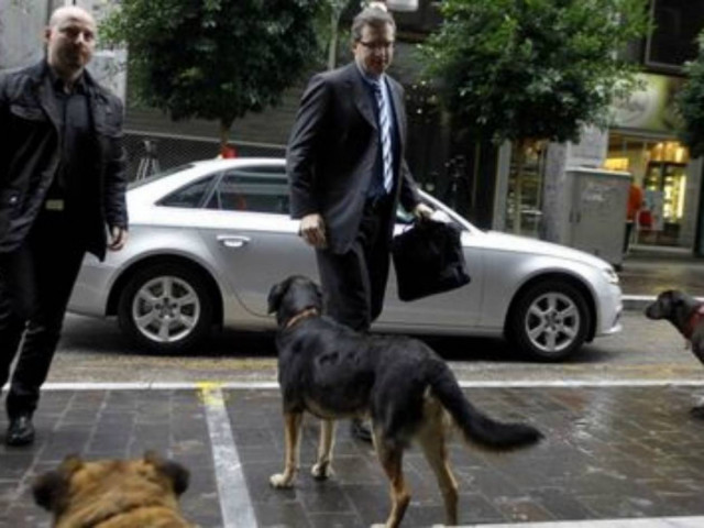 Τα αδέσποτα της Αθήνας υποδέχτηκαν την Τρόικα (Pics)