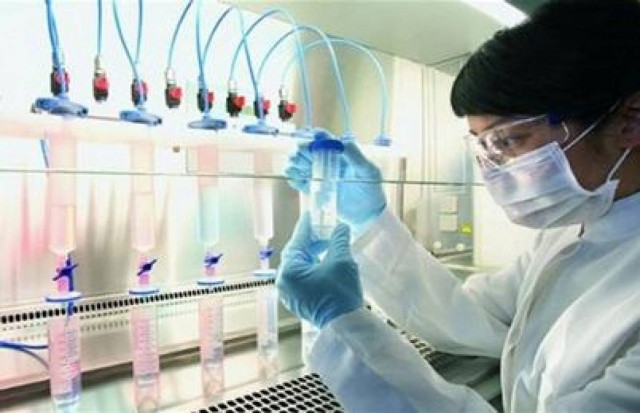 Χαβαντίς: Πανικός στα κατεχόμενα για γρίπη των χοίρων