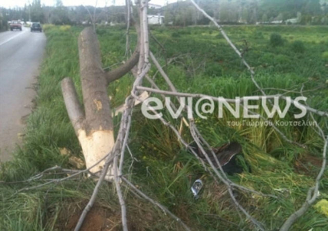 Χαροπαλεύει 53χρονος που έπεσε πάνω σε δέντρο (βίντεο)
