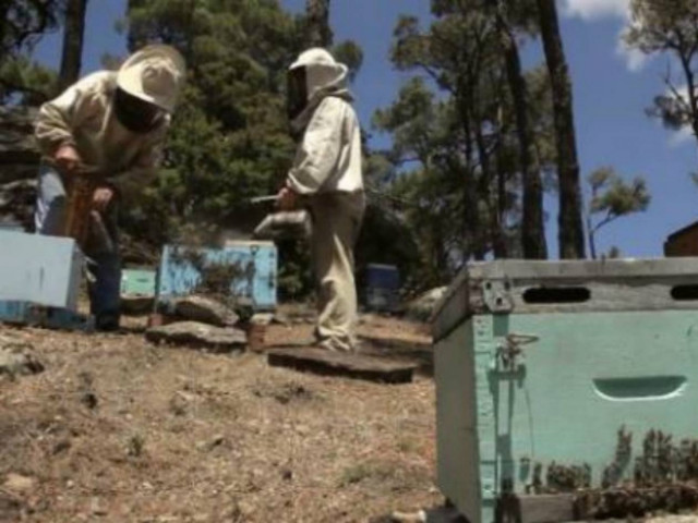 Συγκινητικό βίντεο: Μαθήματα ζωής από την Ικαρία