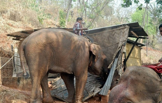 Δεν υπάρχει: Έτσι γκρεμίζουν τα αυθαίρετα στην Ινδία (pics)