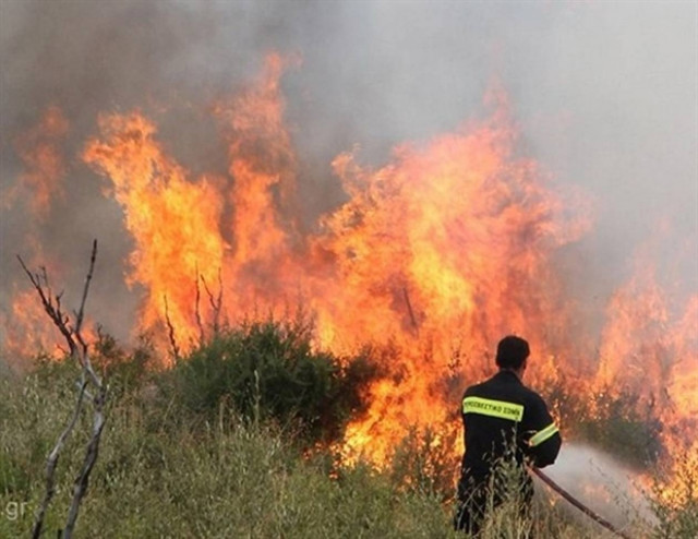 Στις φλόγες δύο δασικές εκτάσεις στο Ρέθυμνο
