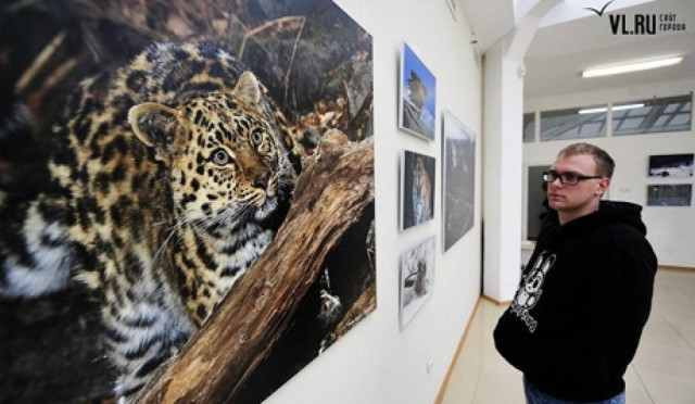Αυξήθηκε ο αριθμός των λεοπαρδάλεων στην Άπω Ανατολή