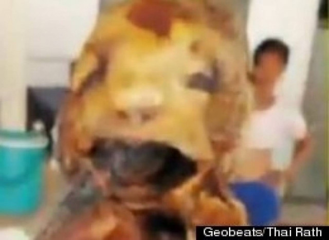 Βίντεο: Έπαθε ΣΟΚ με αυτό που βρήκε μέσα σε ένα λουκάνικο!