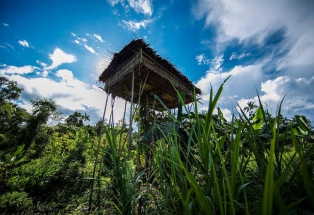 Δείτε: Ένα ολόκληρο χωριό πάνω στα δέντρα! (pics)