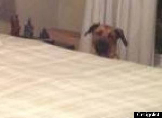 Δείτε: Η αγγελία διαμερίσματος που σαρώνει στο διαδίκτυο (pics)