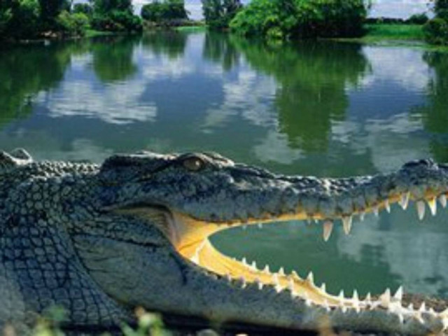 ΔΕΙΤΕ: Οι πέντε πιο επικίνδυνες παραλίες στον κόσμο