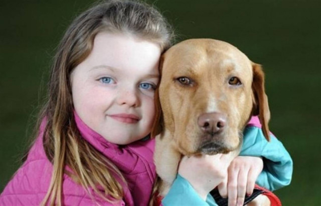 Σκυλίτσα φύλακας- άγγελος για 6χρονη διαβητική!