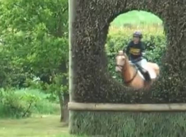 Βίντεο: Θα καταφέρει το άλογο να περάσει από την τρύπα;