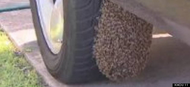 Πήγε στο αυτοκίνητό της και έπαθε ΣΟΚ με αυτό που αντίκρυσε