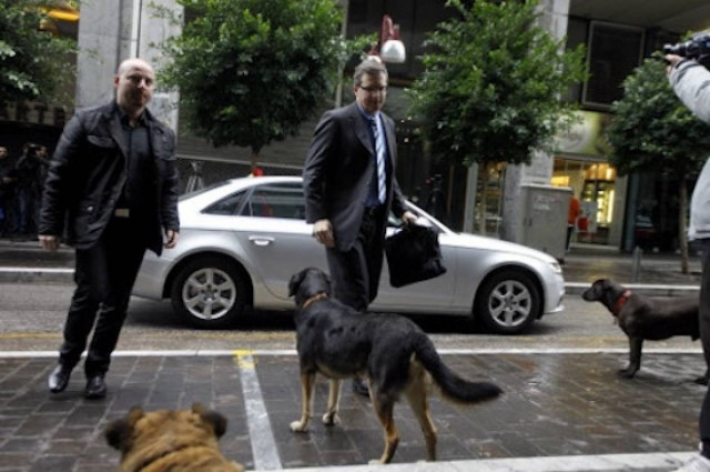 Πάνε για ευθανασία τον Ρούμπι, το σκυλάκι που γάβγισε στην τρόικα