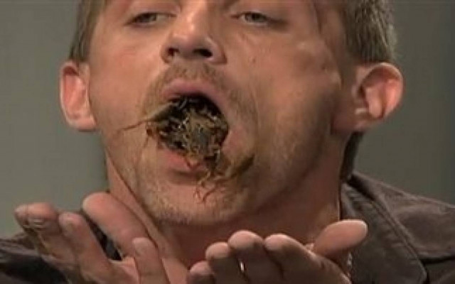 Βίντεο: Βάζει ζωντανούς σκορπιούς στο στόμα του