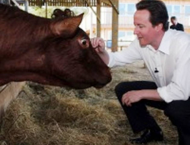 «Ήρωας» ο Ντέιβιντ Κάμερον – Έσωσε ένα πρόβατο από πνιγμό