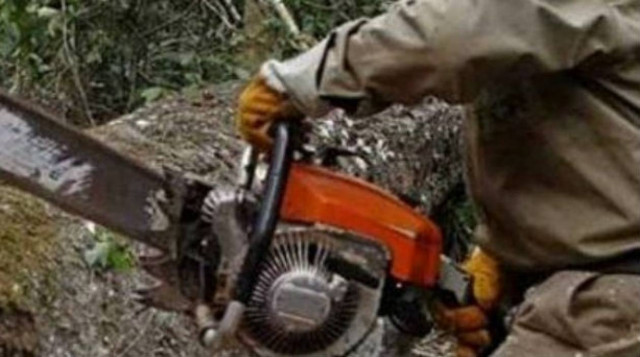 Σοκ: Κλάδευε ελιές και έκοψε το λαιμό του με το αλυσοπρίονο