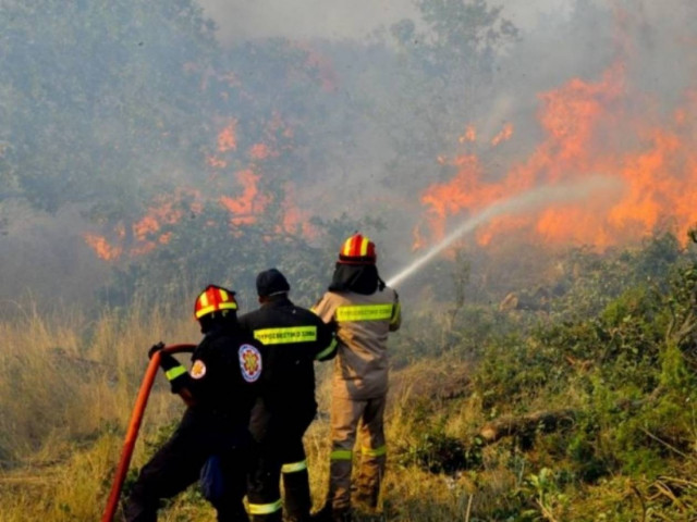 ΤΩΡΑ: Φωτιές στο Πήλιο