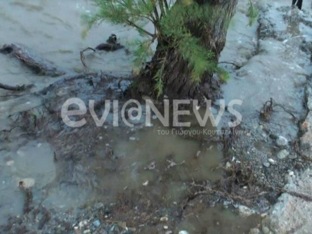 Εύβοια: Η θάλασσα... έπνιξε τα σπίτια! (pics)