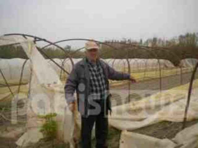 Ηλεία: Μεγάλη καταστροφή άφησαν πίσω τους οι ισχυροί άνεμοι