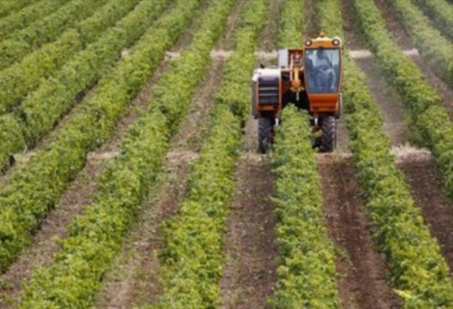 Πρόσκληση ενδιαφέροντος για δημιουργία Ταμ. Αγρ. Επιχειρηματικότητας