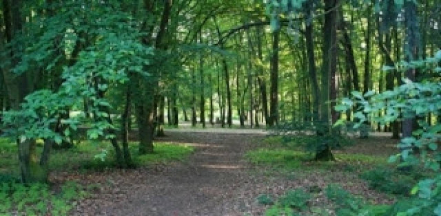 Ζούσε ολομόναχος στο δάσος επί 27 χρόνια!