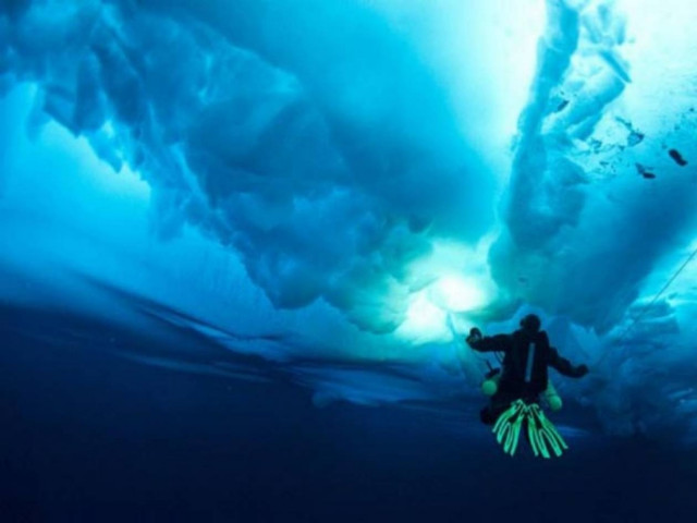 ΜΑΓΙΚΕΣ ΕΙΚΟΝΕΣ: Βουτώντας κάτω από τους πάγους της Αρκτικής!