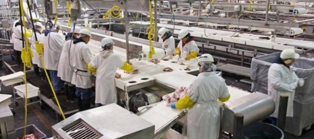 Έδιναν ψωμί με ποντικοφάρμακο στους εργάτες στη Γερμανία