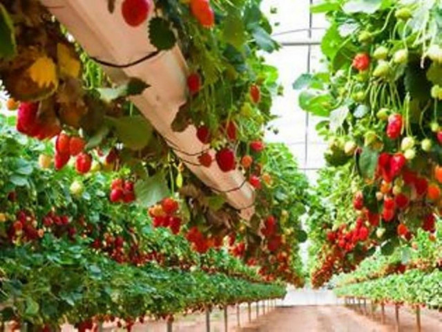 Εκκρεμεί δική για παρόμοιο περιστατικό για έναν από τους επιστάτες