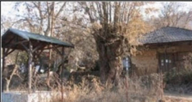 Σερβία: 500 χωριά χωρίς οδική σύνδεση- 50 χιλιάδες ακατοίκητα σπίτια