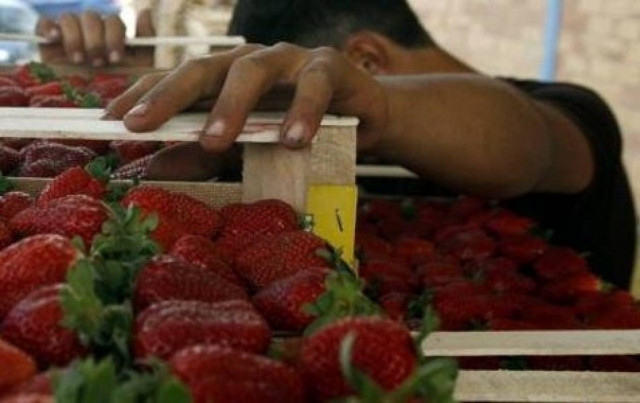 ΠΑΜΕ:Συγκέντρωση διαμαρτυρίας για το αιματηρό περιστατικό στη Μανωλάδα