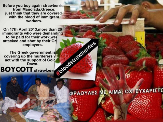 Λαϊκή κατακραυγή για τις «ματωμένες φράουλες»