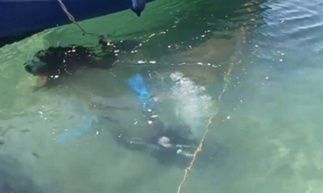 Εύβοια: Δεν πάει ο νους σας τι βρήκαν οι δύτες στο βυθό!