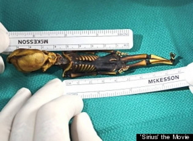 Η αλήθεια για τον μικροσκοπικό εξωγήινο