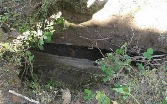 Λαμία: Πρόβατα έπεσαν σε φρεάτιο