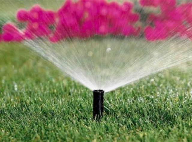 Ελάτεια: Παραλίγο να της κοστίσει το πότισμα 2.500 ευρώ!