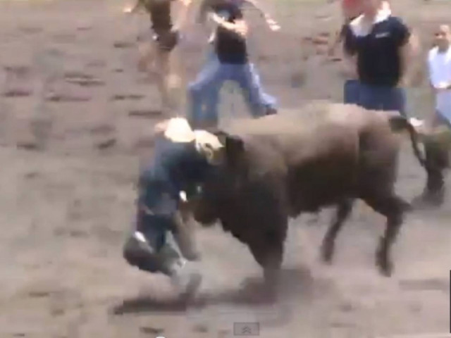 Βίντεο - ΣΟΚ: Ταύρος επιτίθεται σε γυναίκα