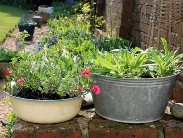 Κατερίνη: Οι γλάστρες έκρυβαν ένα μεγάλο μυστικό