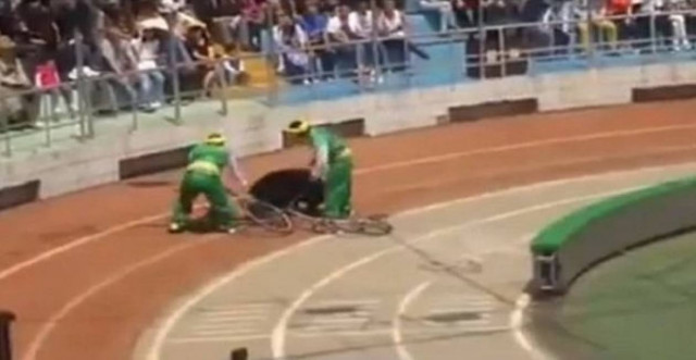 Βίντεο: Αρκούδα κατασπαράζει μαϊμού κατά τη διάρκεια σόου