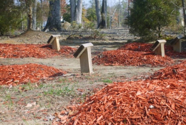 Χριστιανή αποκάλυψε το σημείο ταφής του Ταμερλάν Τσαρνάεφ